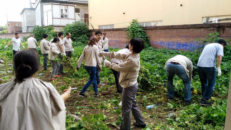 1475117936433453.jpg 00.jpg